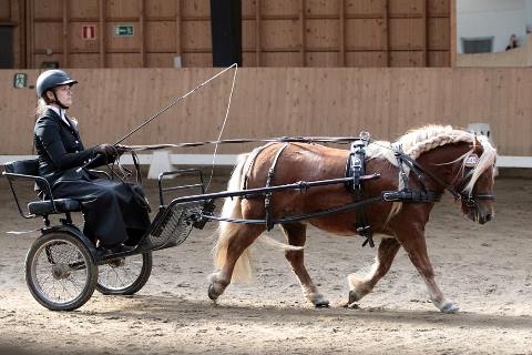Hyrtölän Hurma