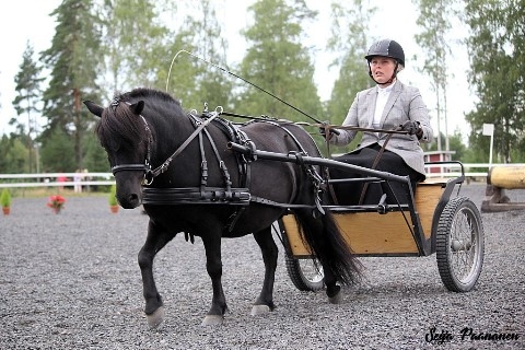 Junibackens Nikita