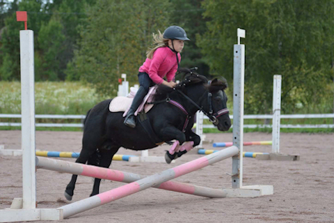 Niemenpellon Mimosa, kuvannut Veera Valtanen