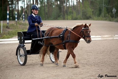 Ylva